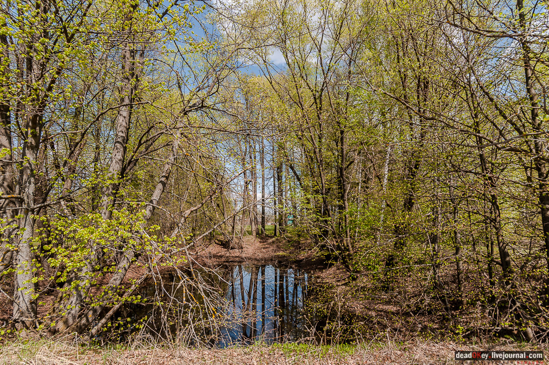 усадьба Дорожаево