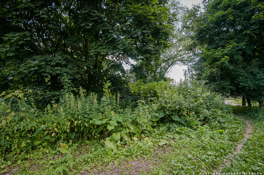 Сергиевское-на-Упе