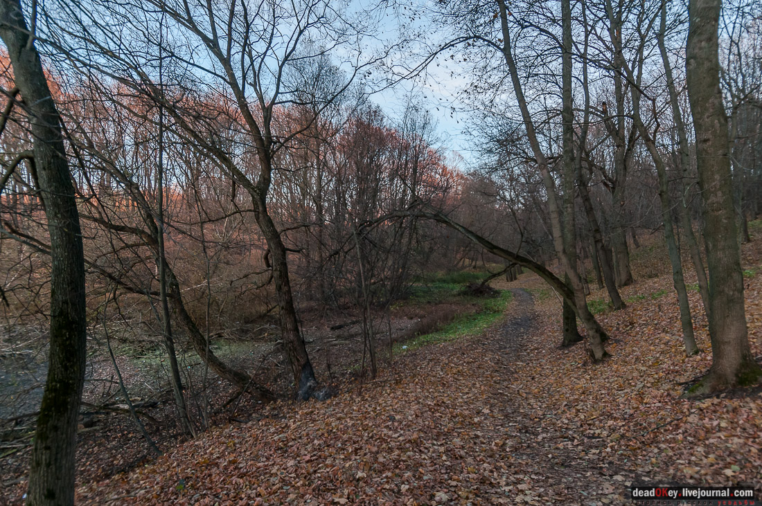 усадьба Богородицк