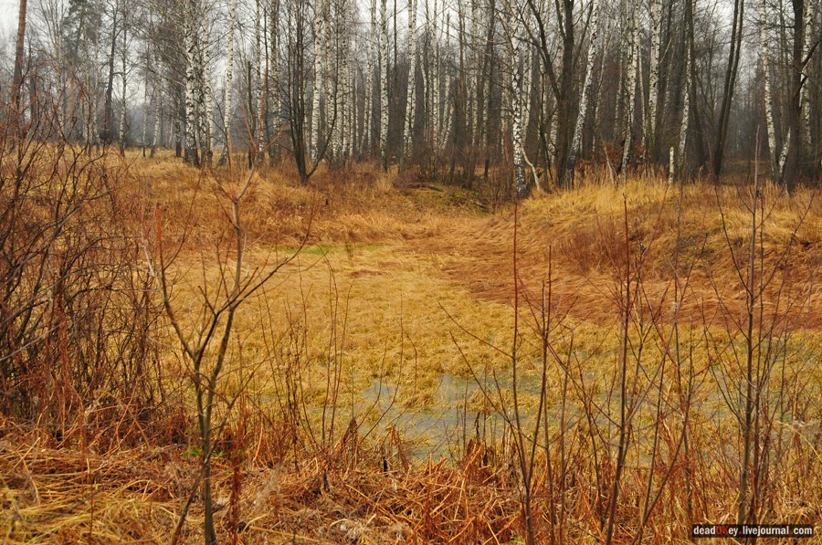 усадьба Савинское