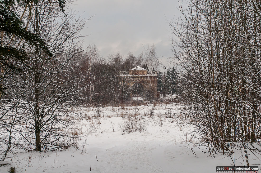 усадьба Гребнево, аукцион, съемки для телеканала Москва-24