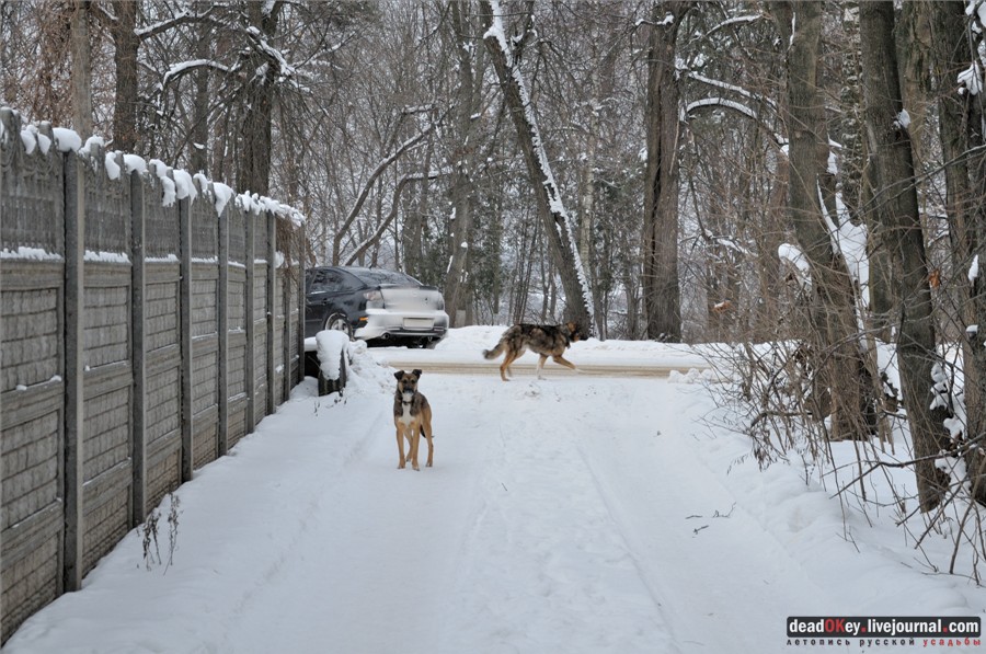 усадьба Городищи (