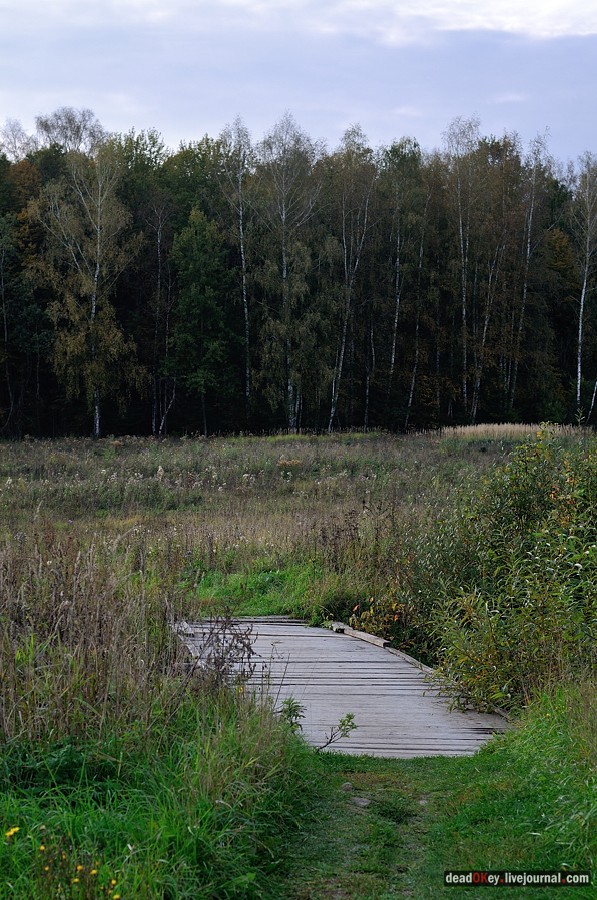 усадьба Ясная Поляна