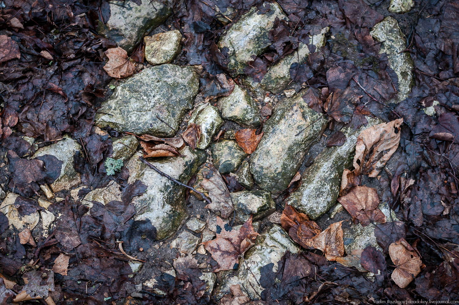 Усадьба Сенницы