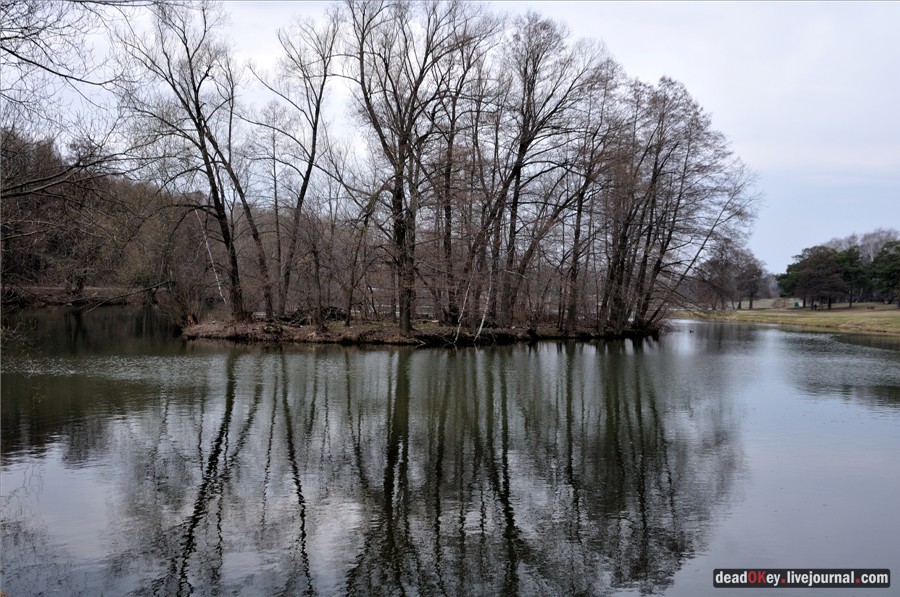 усадьба Кузьминки