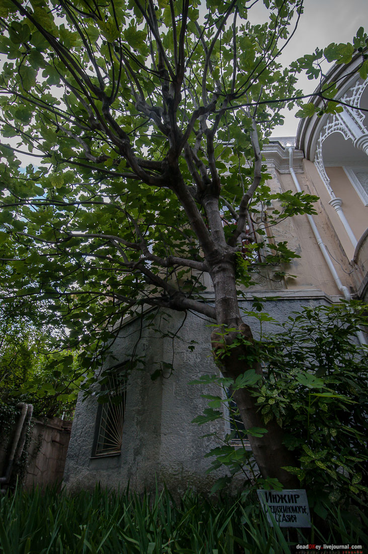 усадьба Мещерское