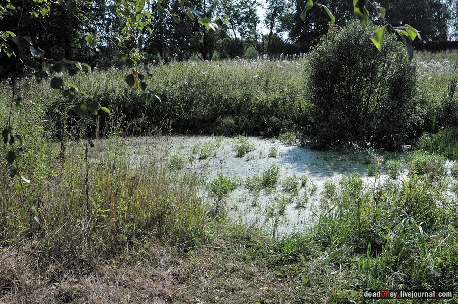 усадьба Муханово