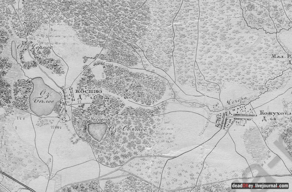 усадьба Косино