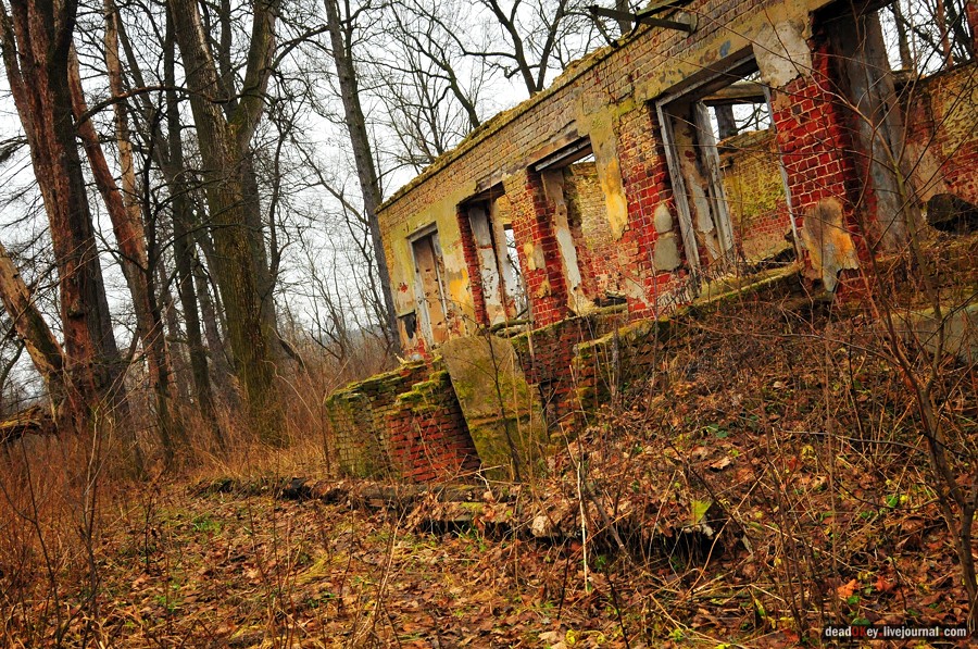 усадьба Волхонка