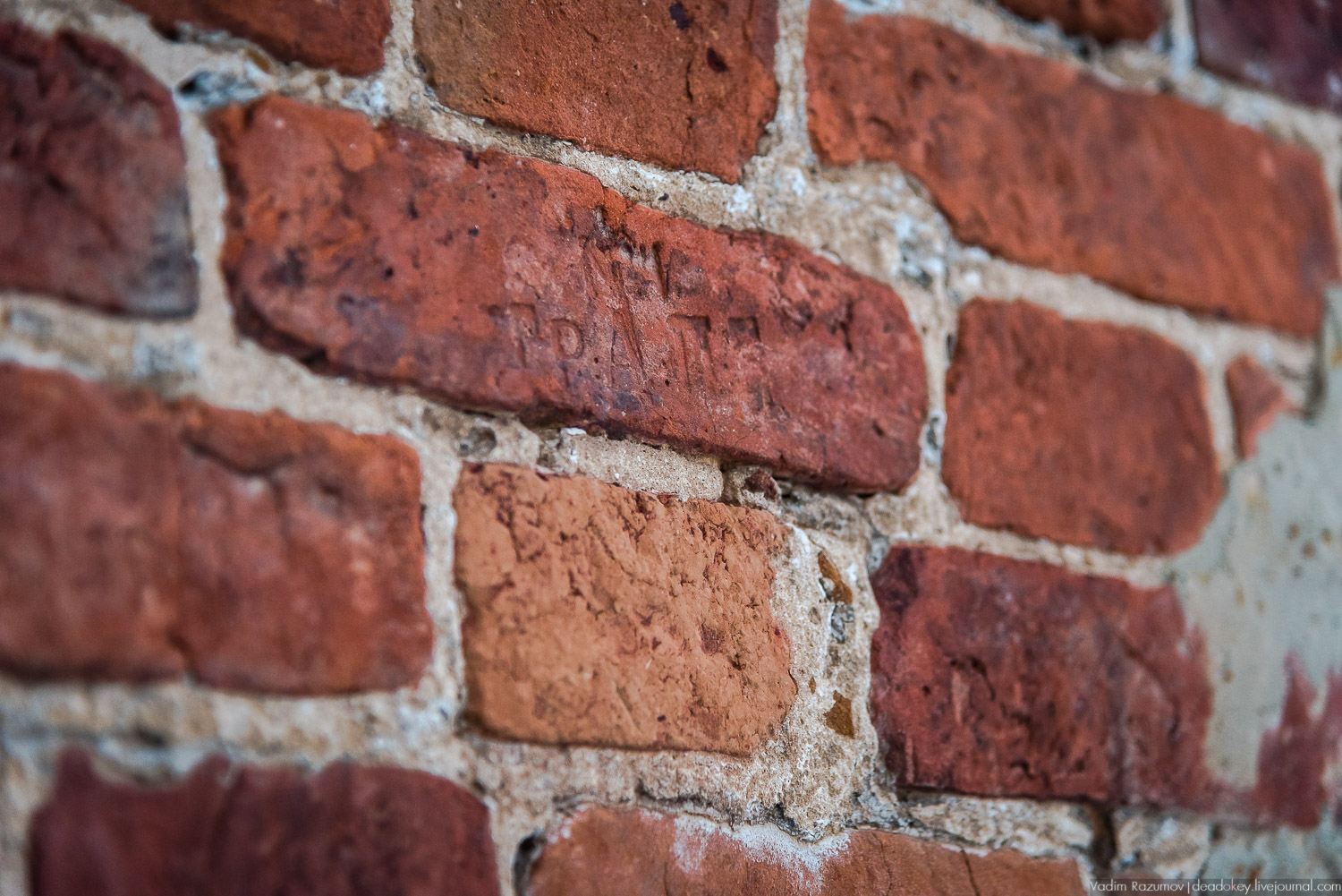 Богородицк, заброшенное здание бани