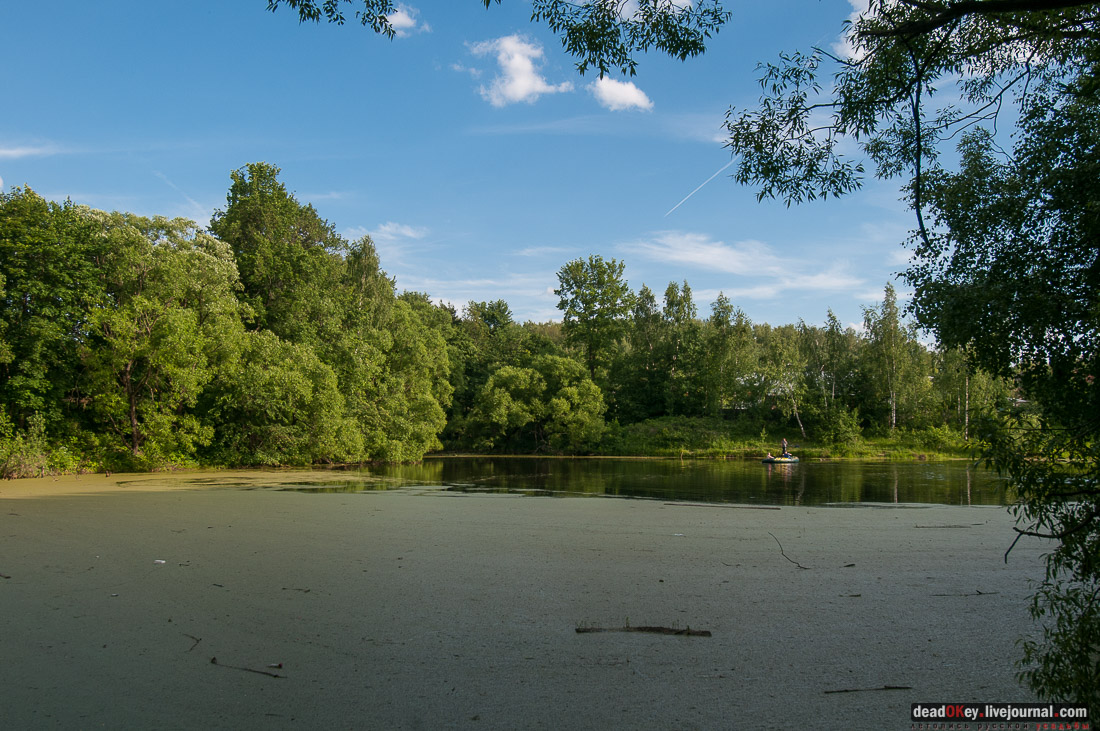 Усадьба Богородское-Кишкино