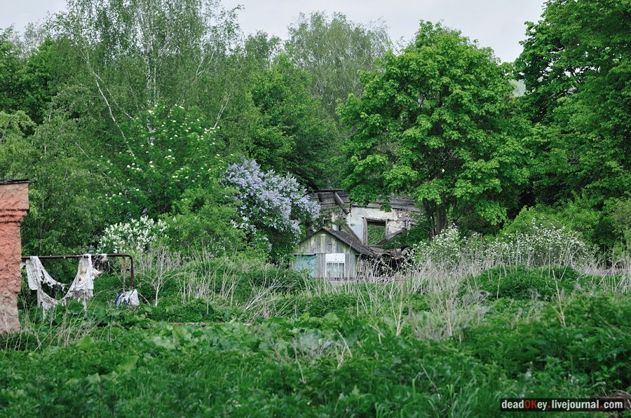 усадьба Ситники