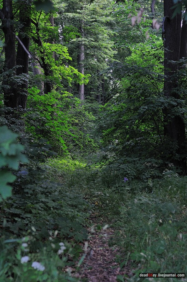 усадьба Клины