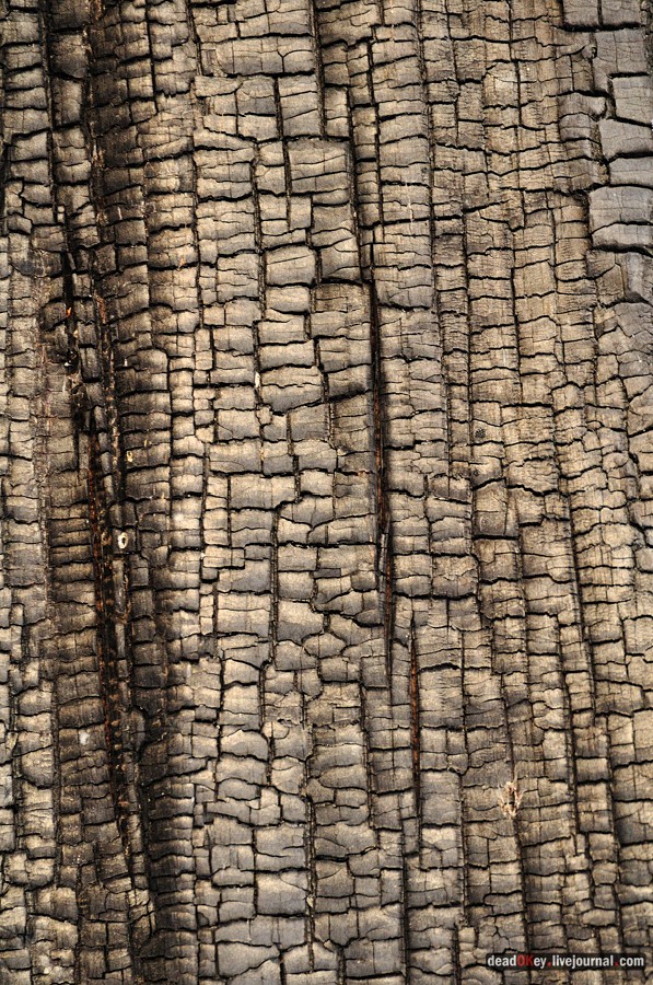 усадьба Красково