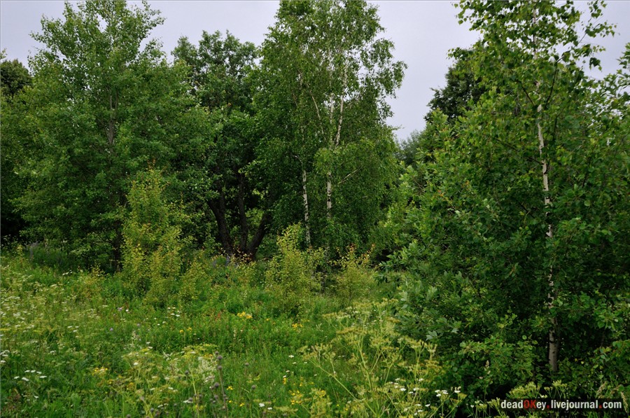 усадьба Фуникова Гора Прокудина-Горского