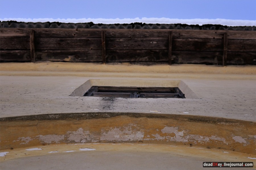 усадьба Костино Сабашниковых