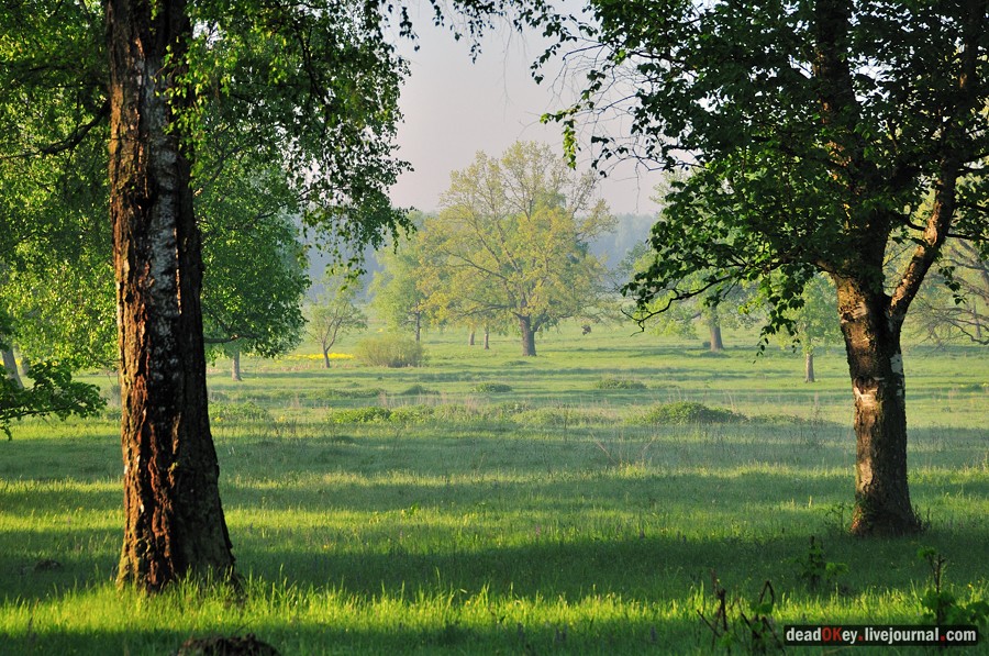усадьба Прохорово