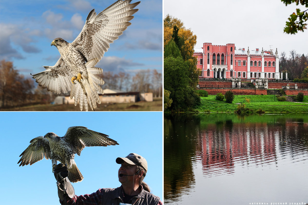 2 июня - Экоэлектричка. Соколиная охота и Марфино.