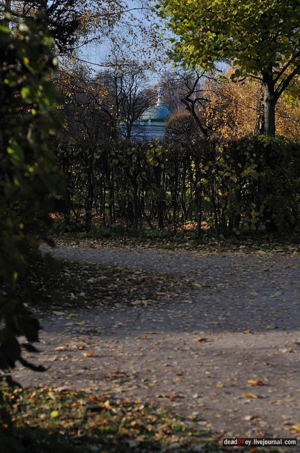 усадьба Кусково