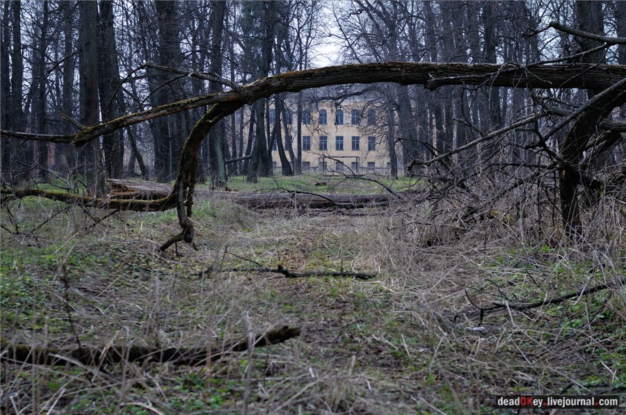 усадьба Грабцево