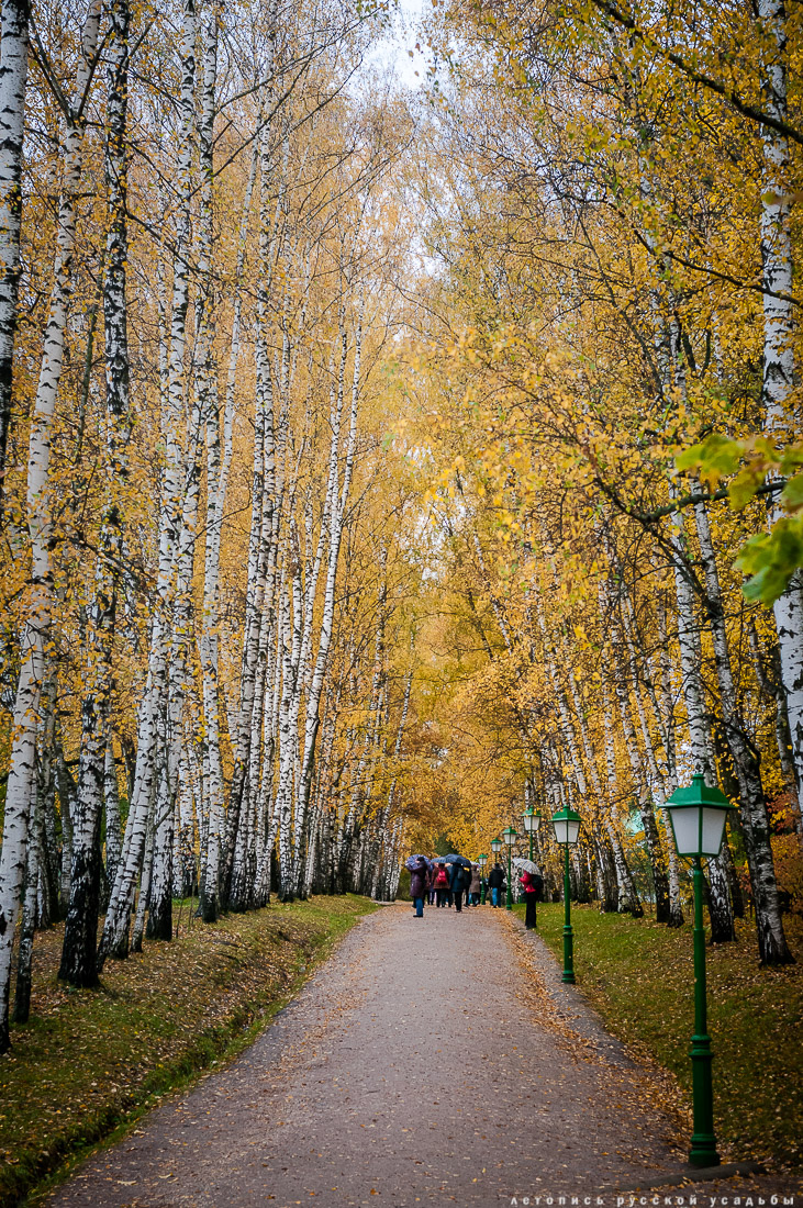 усадьба Ясная Поляна Льва Николаевича Толстого, Тульская область, осенью