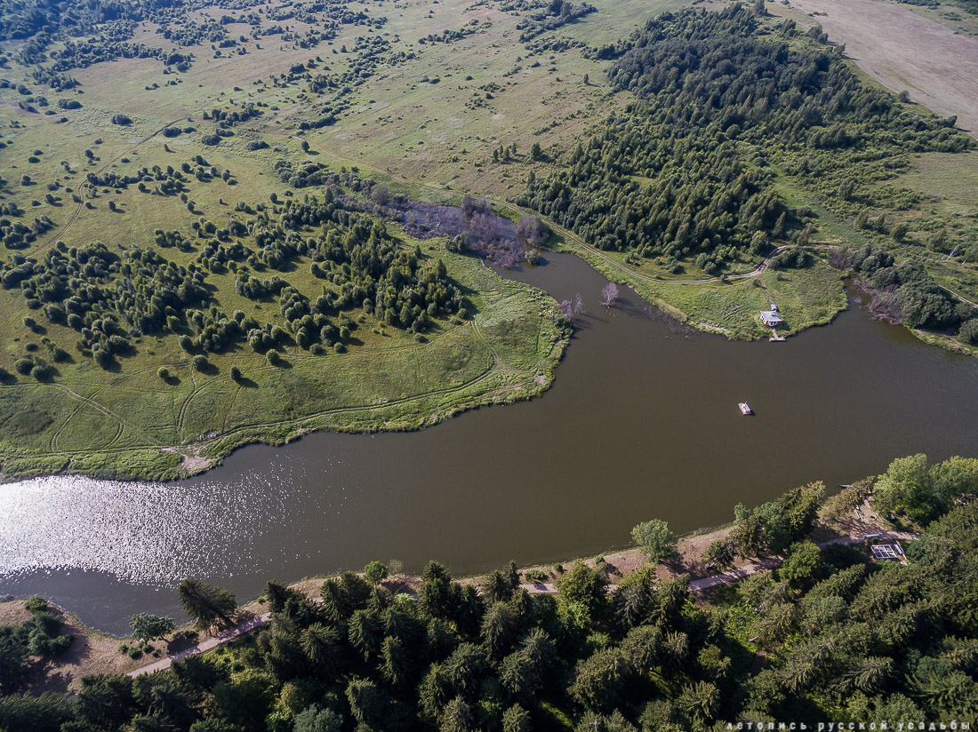 усадьба Степановское-Волосово, фотографии с дрона, шетлендский пони Трамп