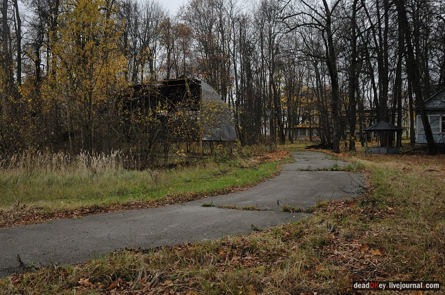 усадьба Жуково