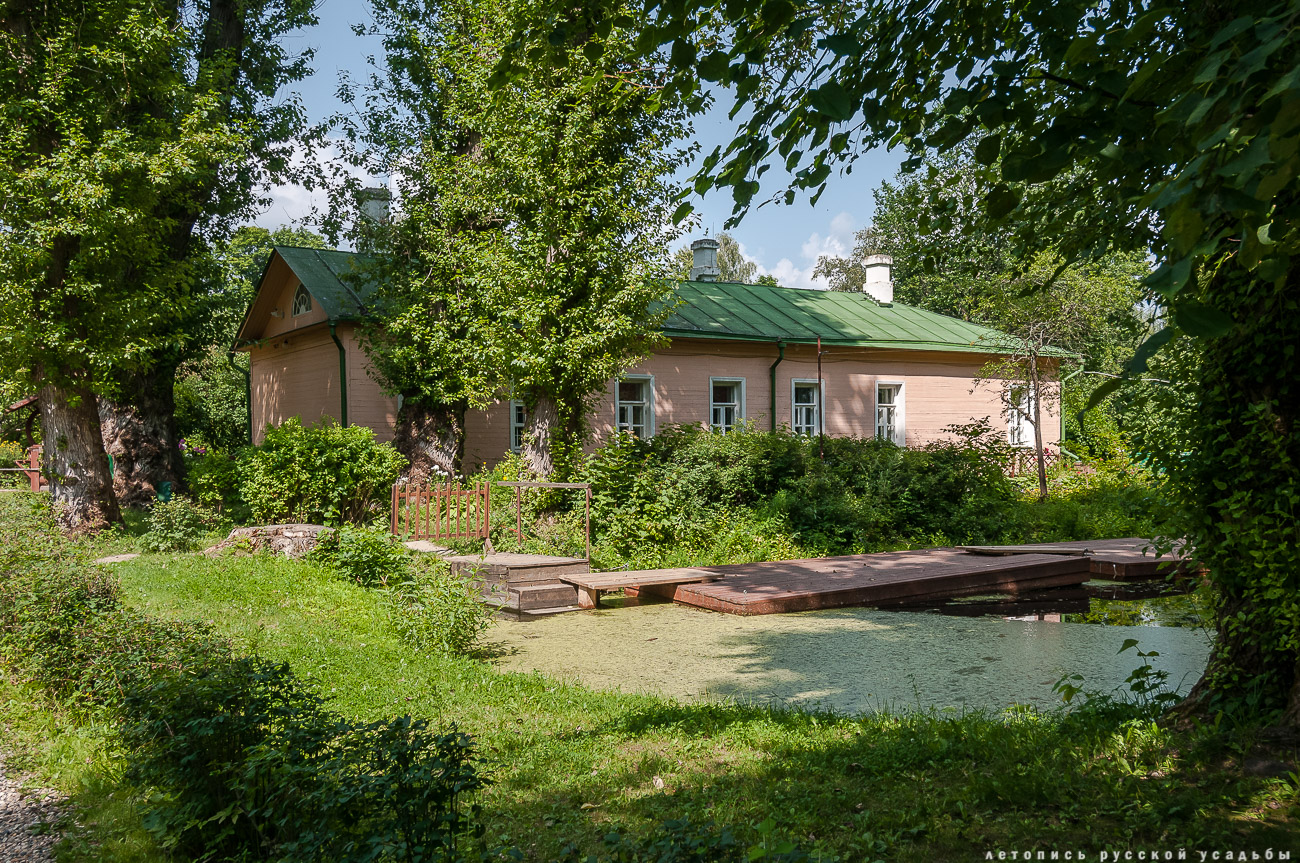 Положительные новости 19