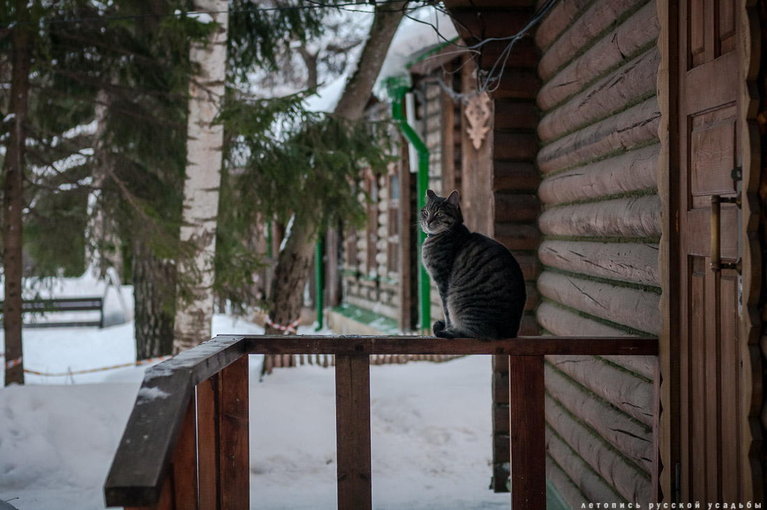 усадьба Абрамцево, зима 2017