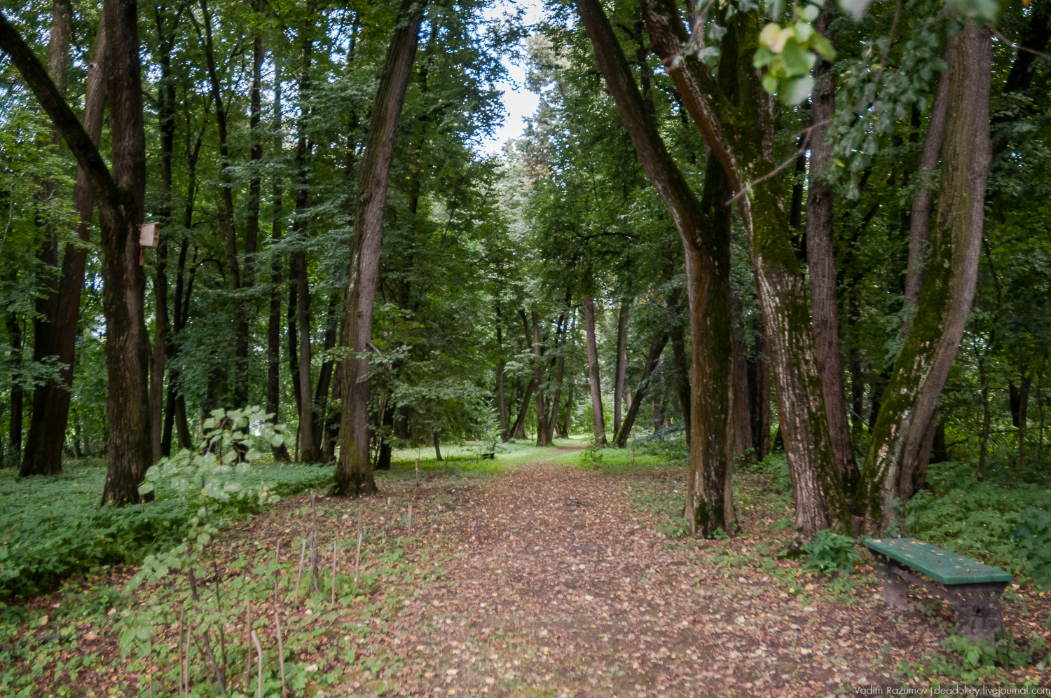 Зарайский кремль, музей-заповедник, интервью