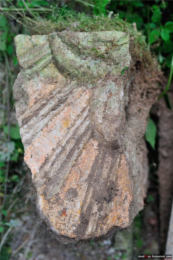 усадьба Глинки Якова Брюса (пансионат Монино)