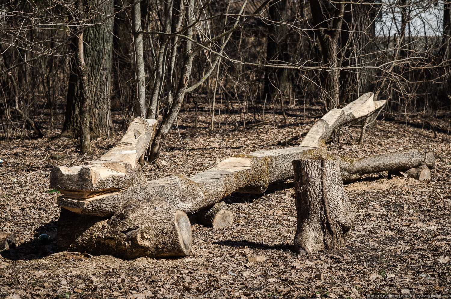 усадьба Моховое, Орловская область