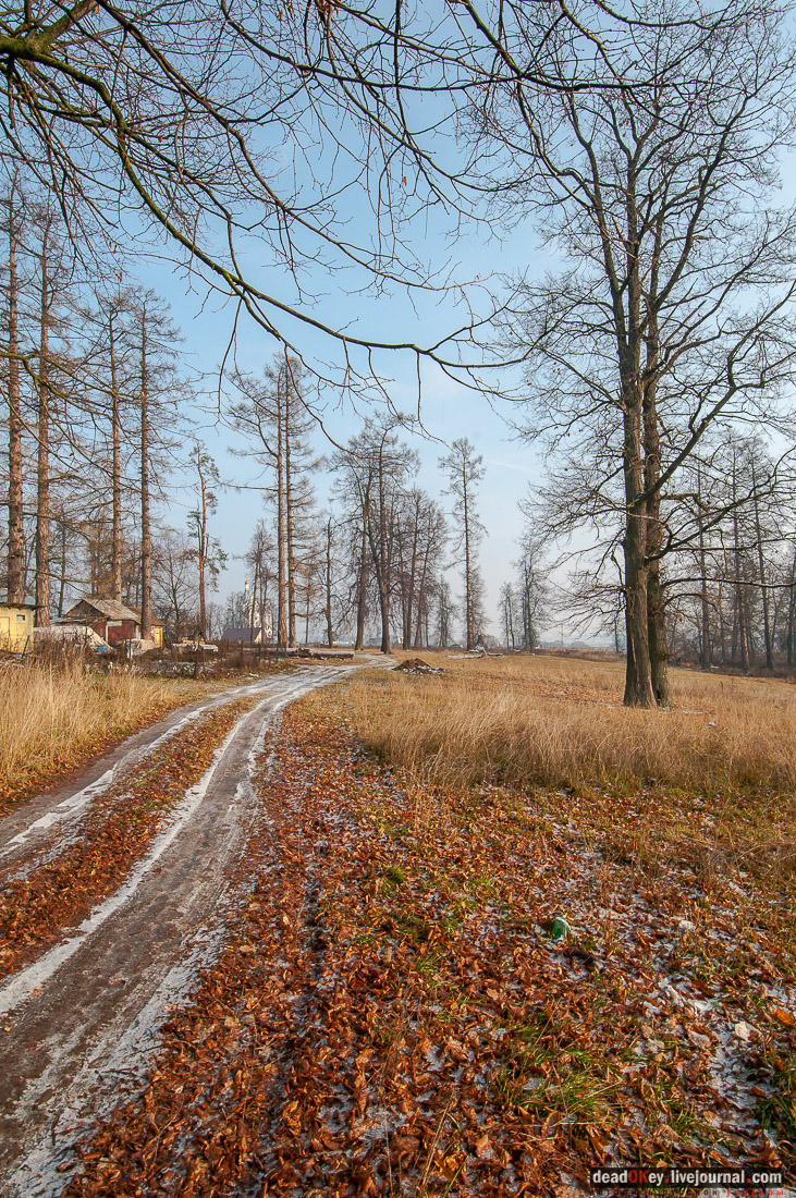 Усадьба Глебово-Брусилово