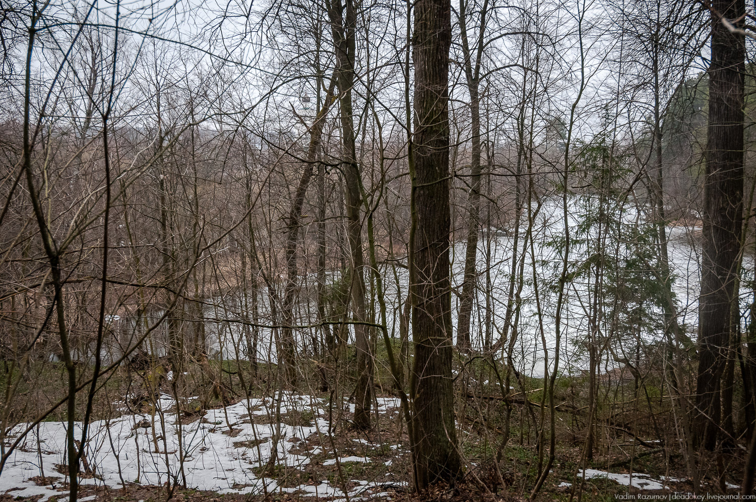 Усадьба Сенницы