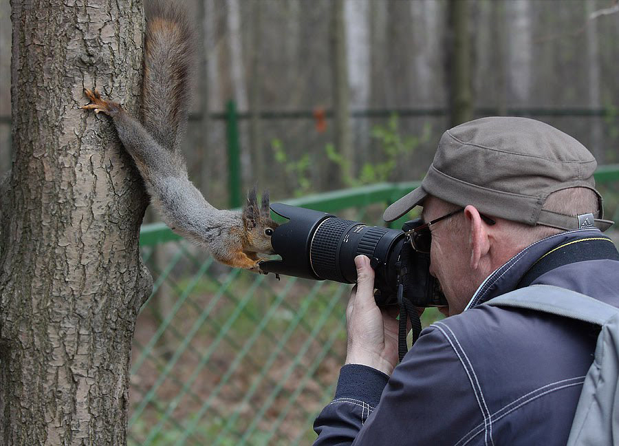 ÐÐµÐ·ÑÐ¼Ð½ÑÐµ ÑÐ¾ÑÐ¾Ð³ÑÐ°ÑÑ