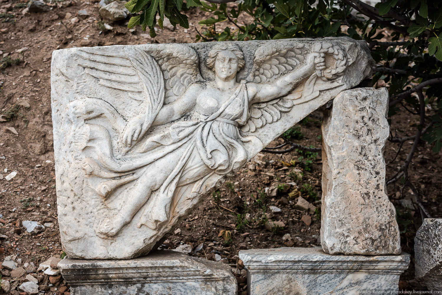 Эфес, античные руины, Турция