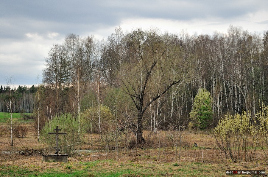 усадьба Антипино