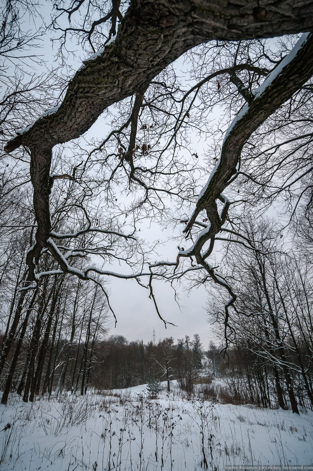 усадьба Знаменское-Садки