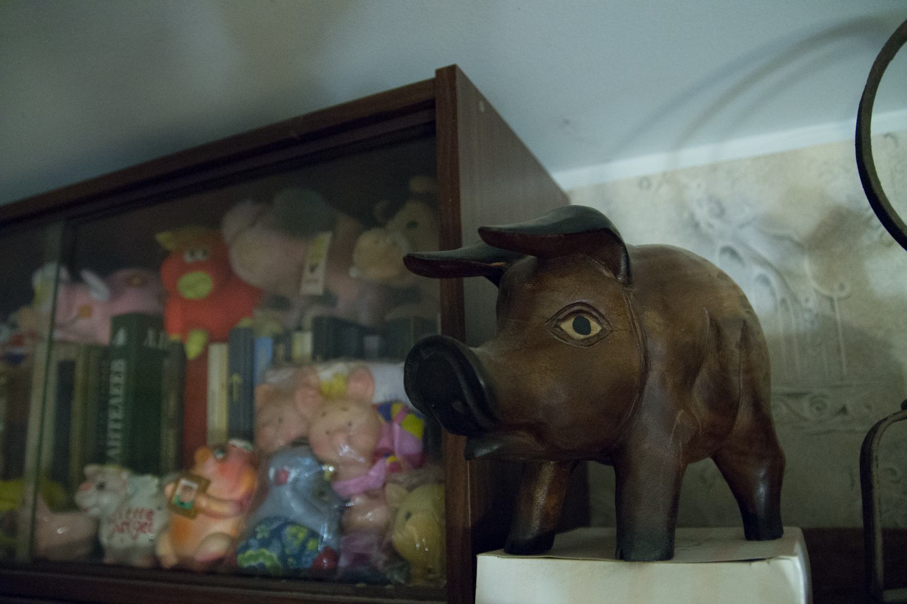 Свиньи, музей свиней