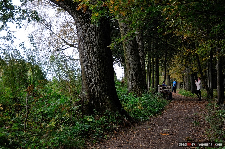 усадьба Ясная Поляна