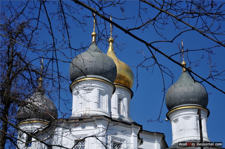 усадьба Узкое