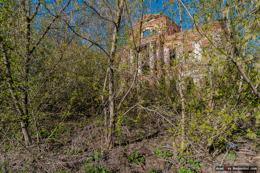 усадьба Зендиково