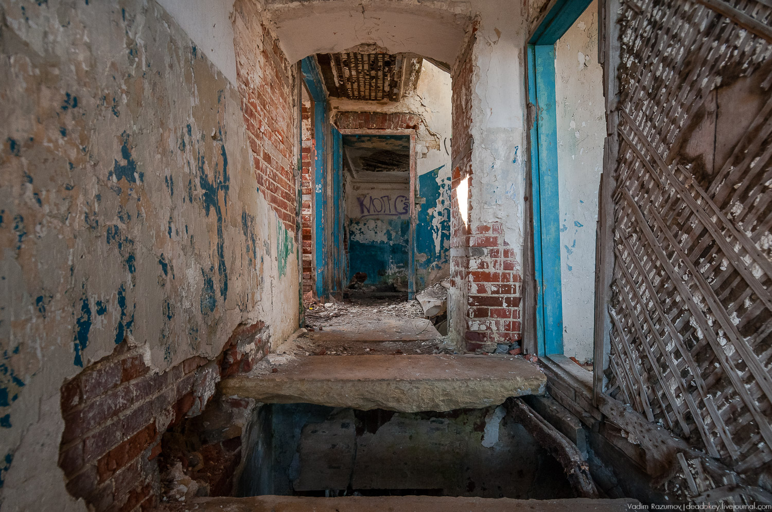 усадьба Соха