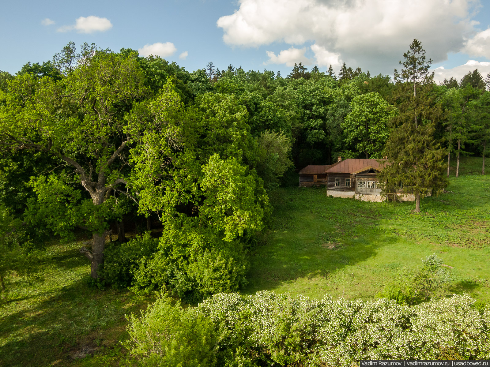 Мещерский дендрарий, ЛОСС, усадьба Барсуково, цветение сирени, Липецкая области