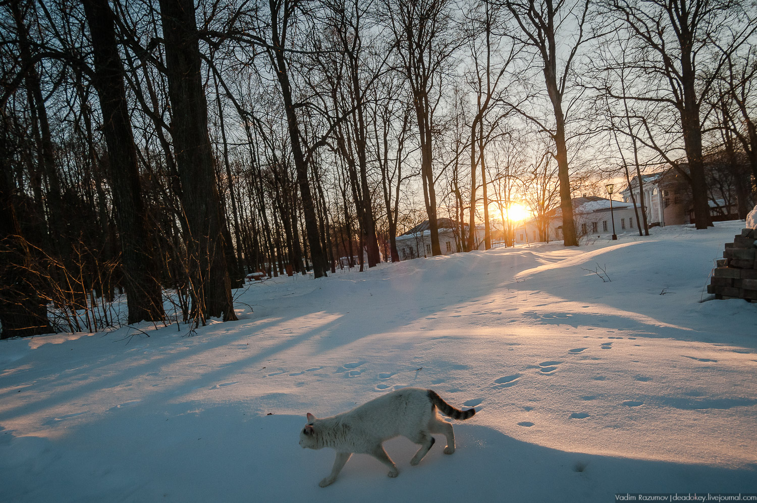 усадьбы Волынщина-Полуэктово, Рузский район