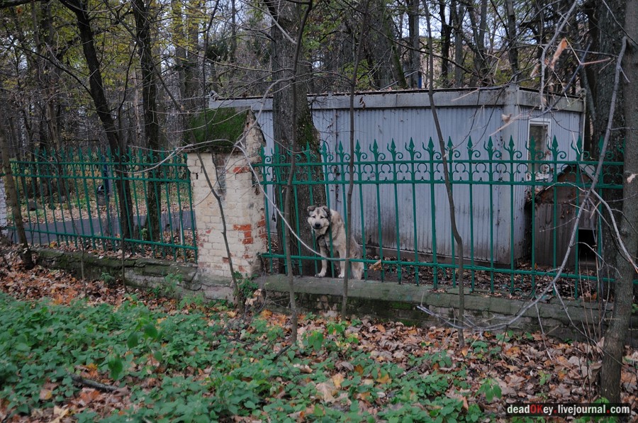 усадьба Успенское