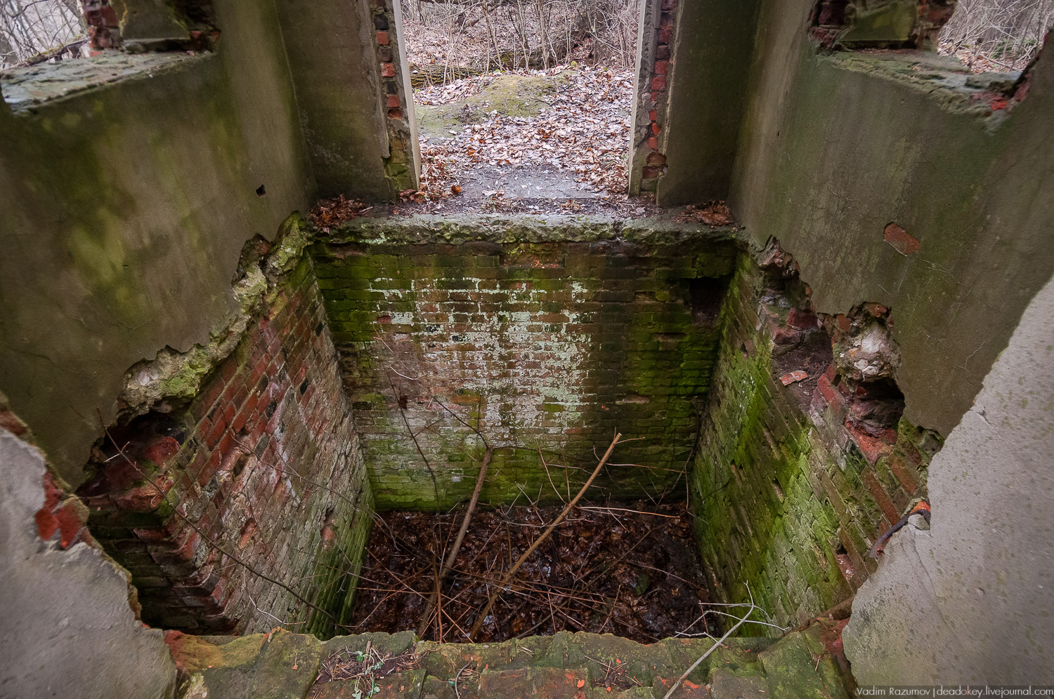 Усадьба Сенницы Усадьба Сенницы