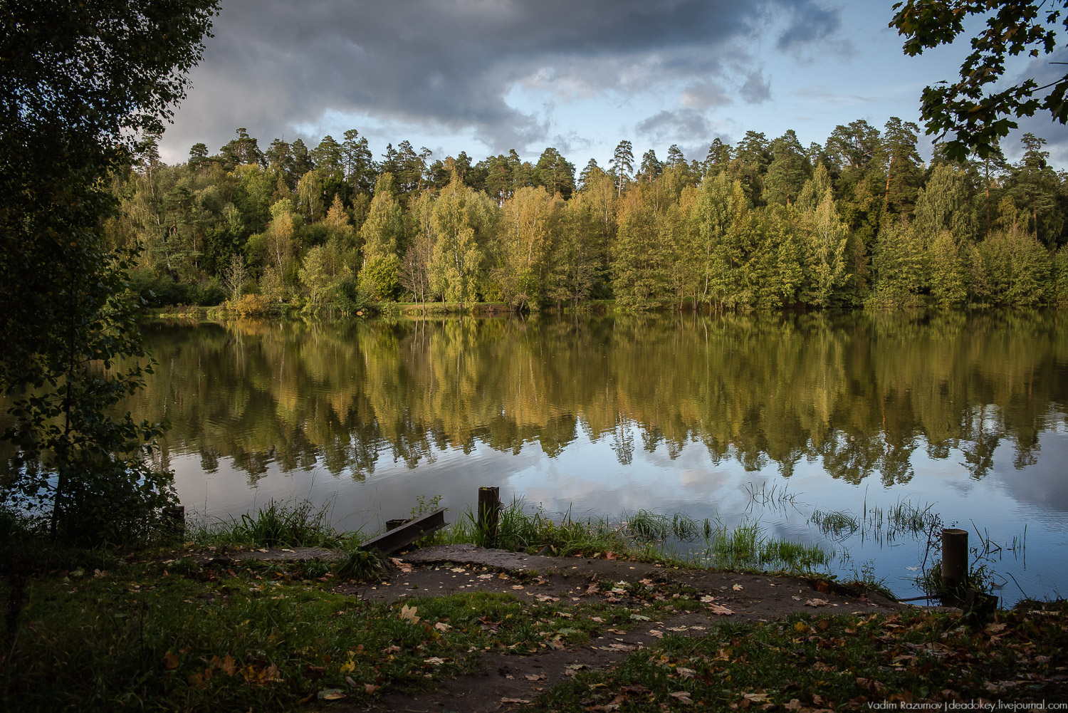 Алексеевская роща, путевой дворец Алексея Михайловича, Лосиный остров, музей охоты