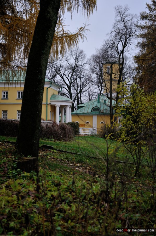 усадьба Горки Ленинские