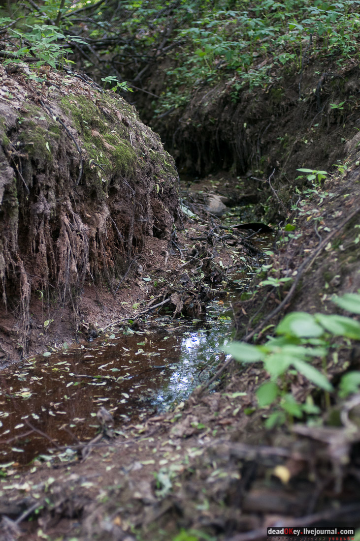 Усадьба Богородское-Кишкино